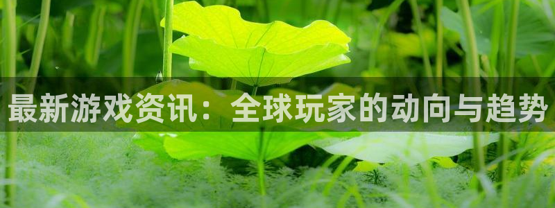 欧博官网手机版abg